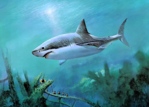 1756277 (a): :1920x1379